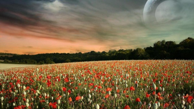 如何看待 2026QS 世界大学排名?